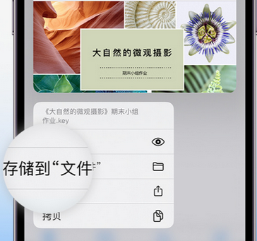 曲麻莱apple维修中心分享iPhone文件应用中存储和找到下载文件