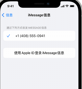 曲麻莱apple维修iPhone上无法正常发送iMessage信息 