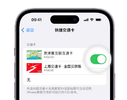 曲麻莱apple维修点分享iPhone上更换Apple Pay快捷交通卡手绘卡面 