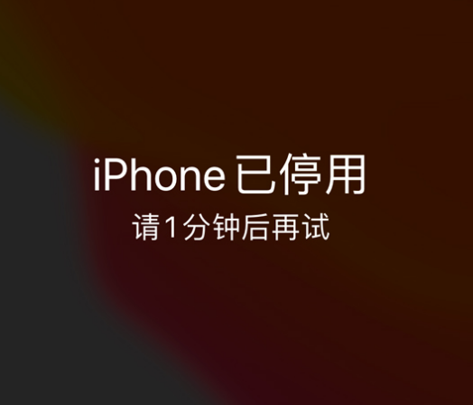 曲麻莱苹果手机维修分享:iPhone 显示“不可用”或“已停用”怎么办？还能保留数据吗？ 