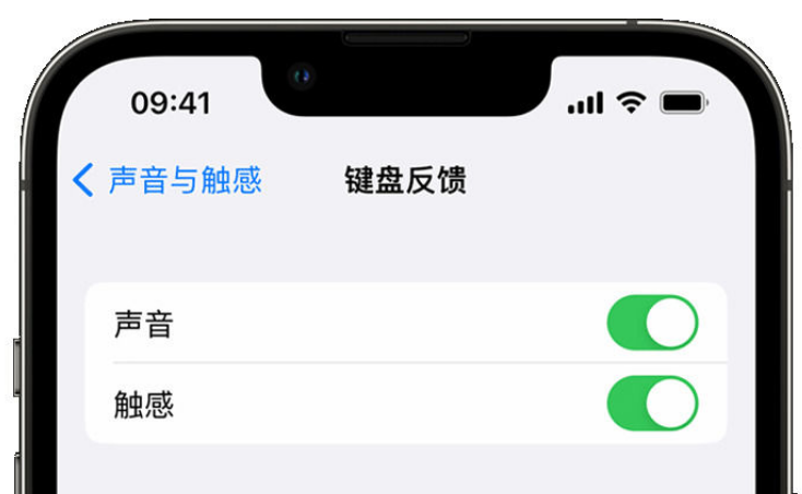 曲麻莱苹果手机维修分享iPhone 14触感键盘使用方法 