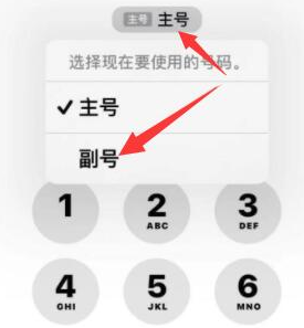 曲麻莱苹果14维修店分享iPhone 14 Pro Max使用副卡打电话的方法 