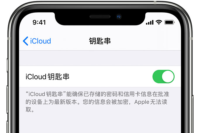 曲麻莱苹果手机维修分享在 iPhone 上开启 iCloud 钥匙串之后会储存哪些信息 