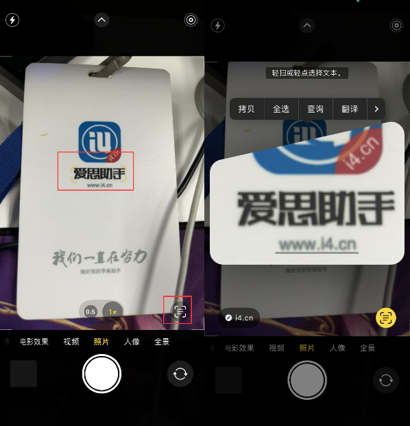 曲麻莱苹果手机维修分享升级iOS 16后如何通过相机翻译文本 