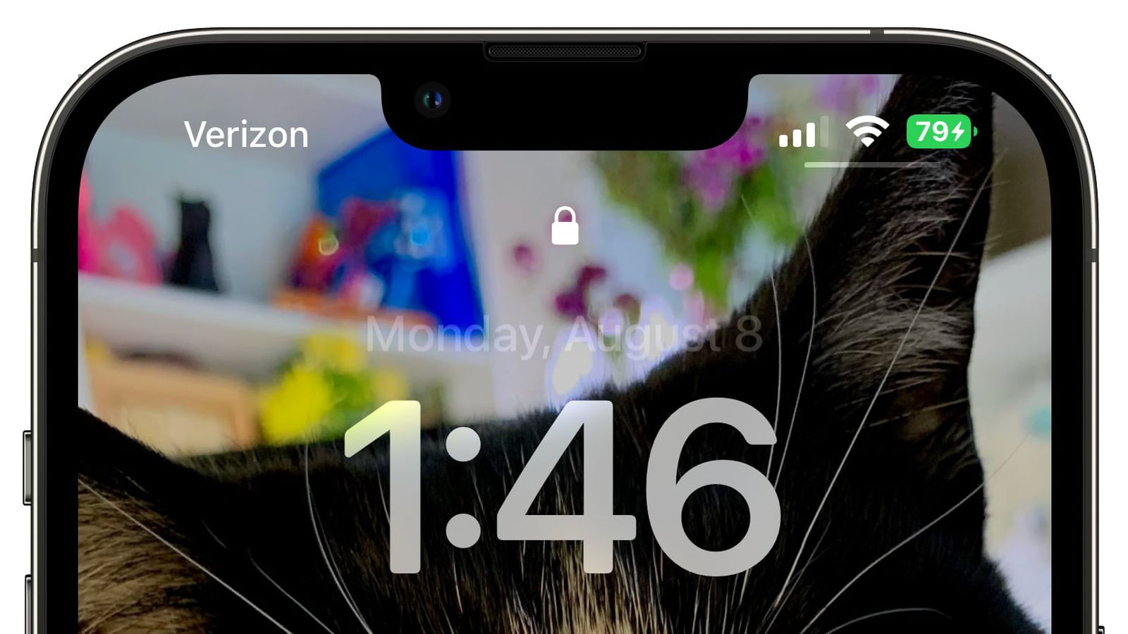 曲麻莱苹果手机维修分享iOS 16 beta 5 支持状态栏显示电池百分比，如何开启？支持哪些机型 