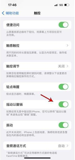 曲麻莱苹果手机维修分享iPhone手机如何设置摇一摇删除文字 