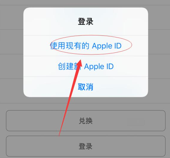 曲麻莱苹果手机维修分享两台iPhone设备可以同时登录一个Apple ID吗 
